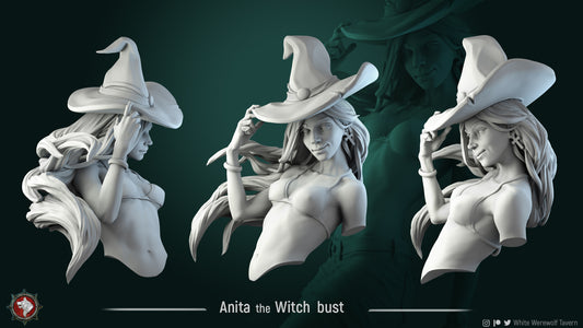 Anita the Witch Bust